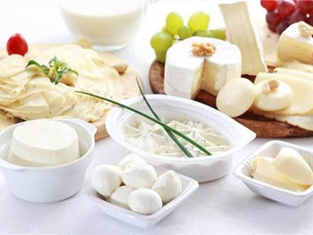 T/HBFIA 0003-2019 乳制品行业全面质量管理5.0卓越运营指南